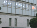横浜信用金庫　ウィンドウ文字　デザイン　画像　